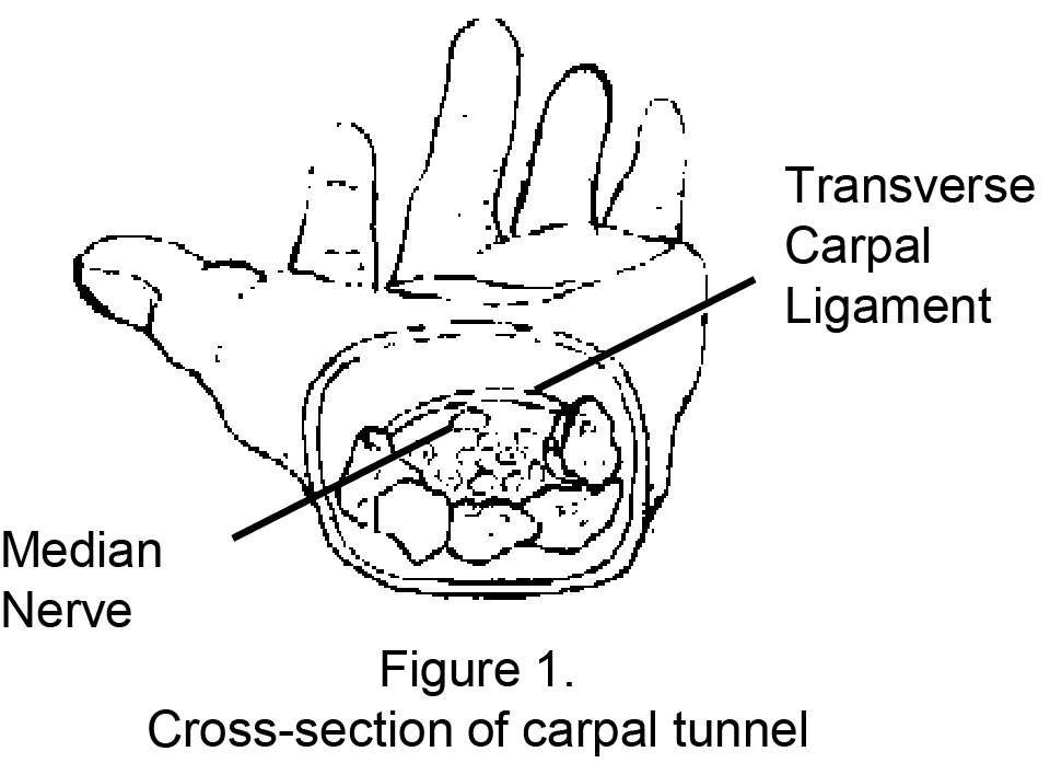 Health Library Tan Tock Seng Hospital